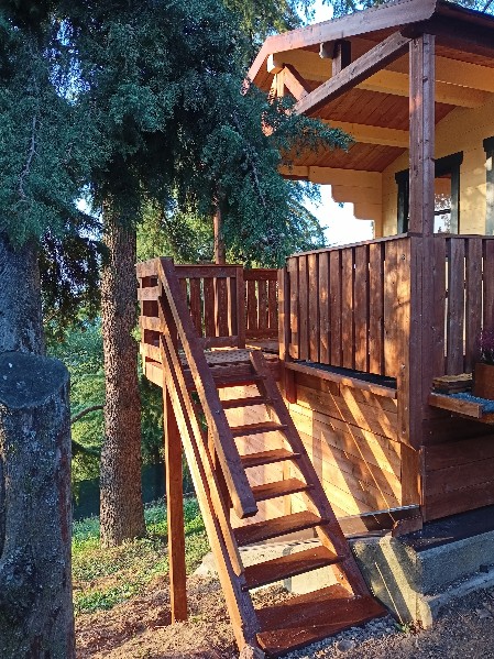  Scalainteramente in legno che accede ad una abitazione su palafitta, circondata da maestosi Abeti e conifere